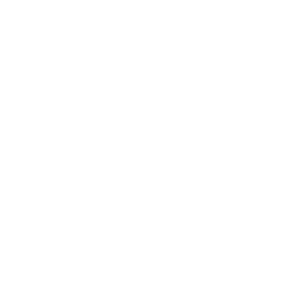 durbal-300