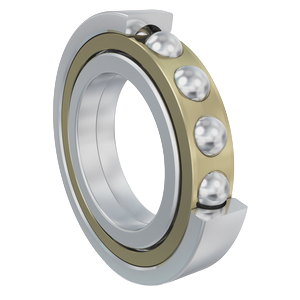 Four Point Contact bearing