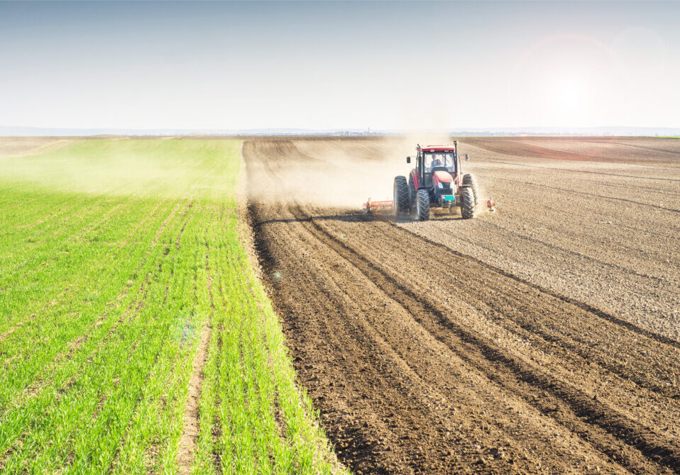 Agriculture